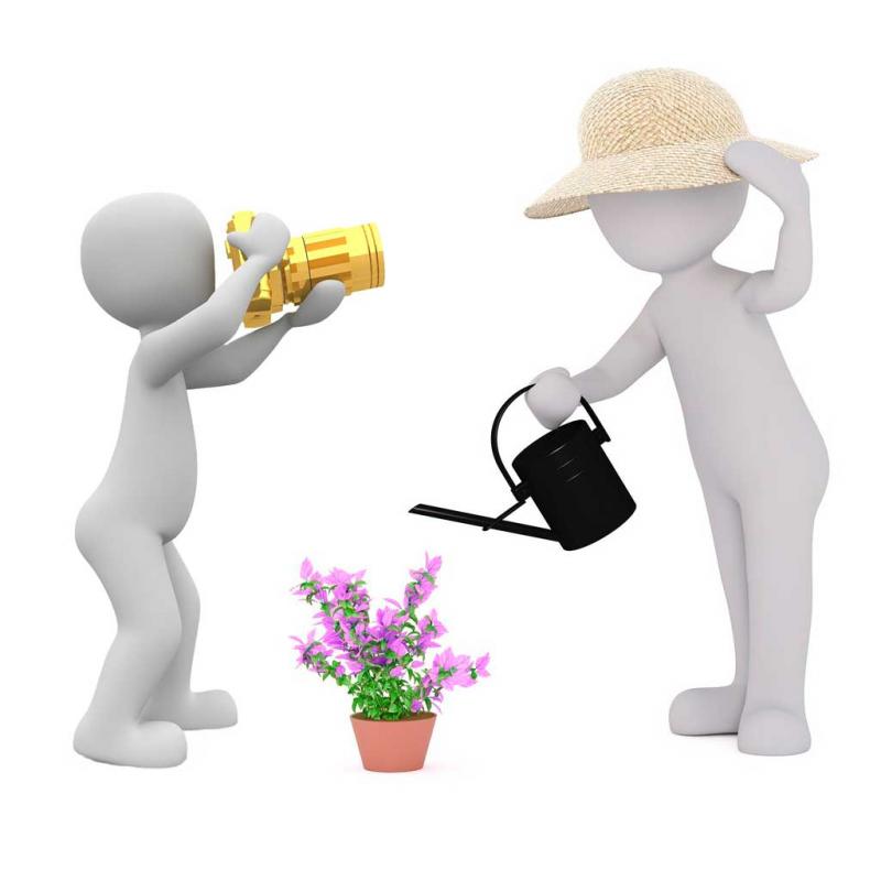 Vom Fotograf zum G&auml;rtner